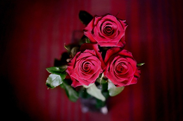 1800Florals Valentine’s Day Flower Coupons